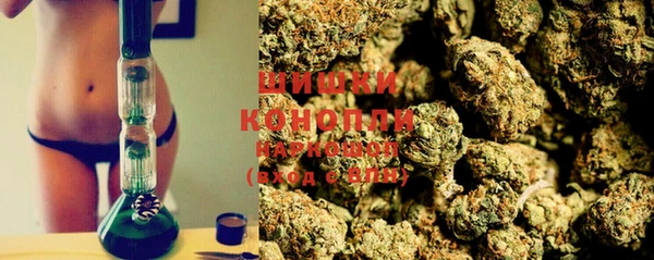 2c-b Богородицк