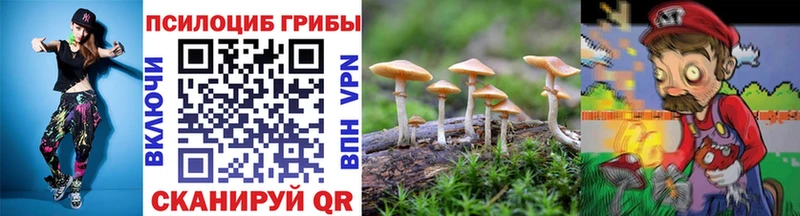 Купить  Морозовск  Псилоцибиновые грибы GOLDEN TEACHER 